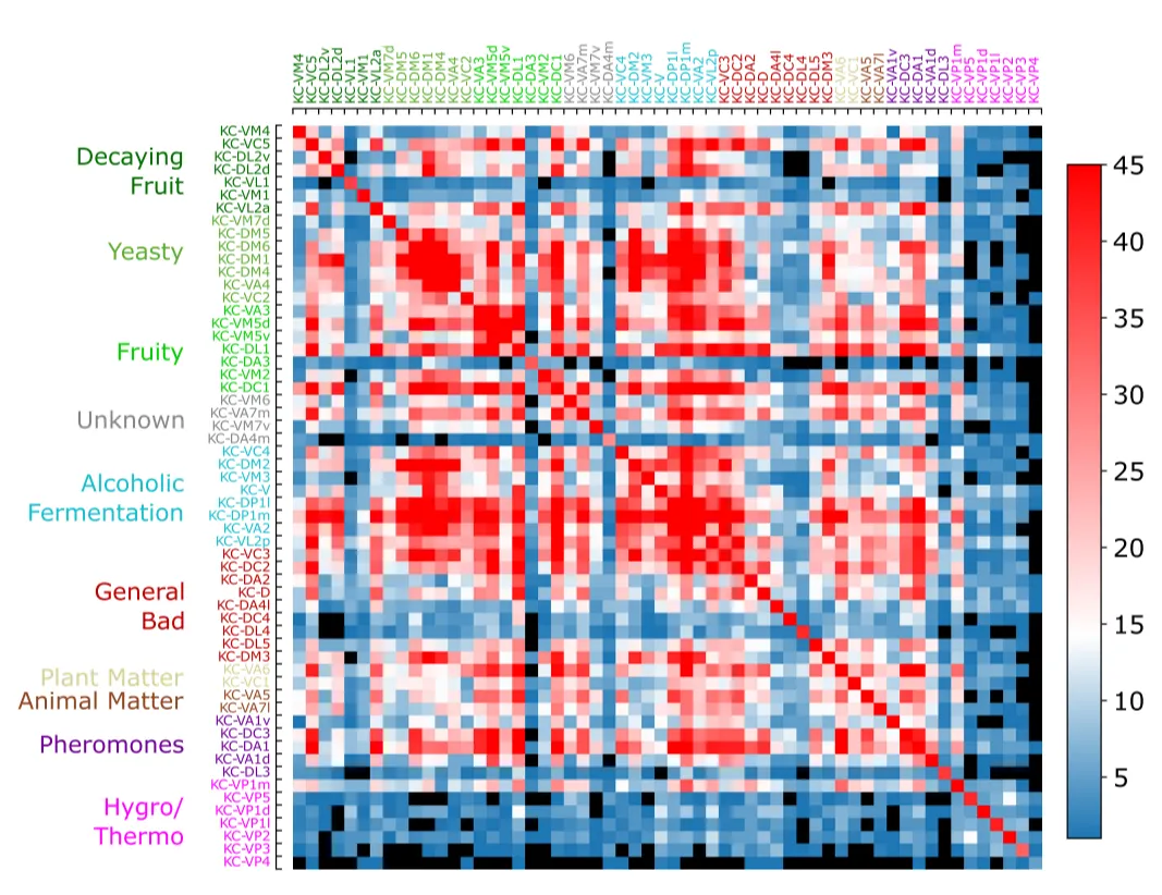 Biological System Image