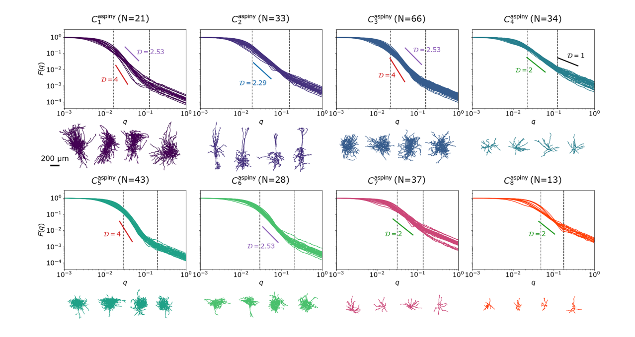 Biological Algorithm Image